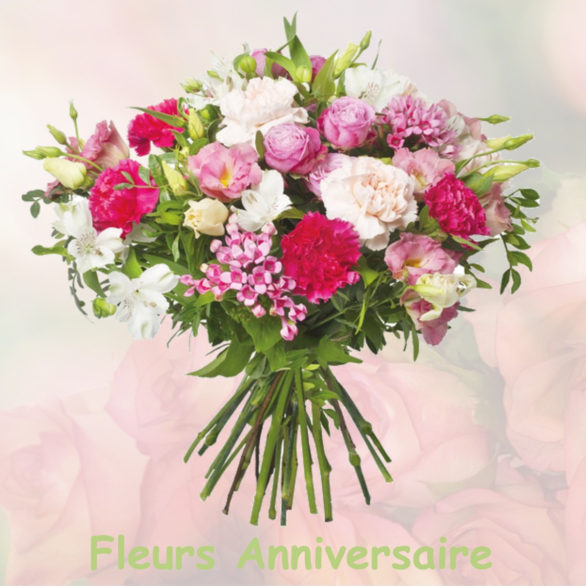 fleurs anniversaire VILLEY-SUR-TILLE